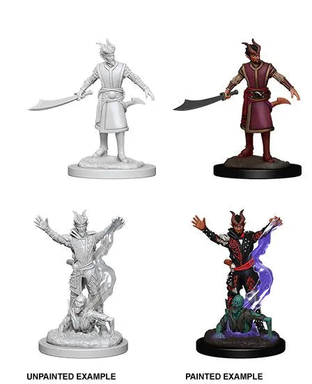 Wizkids Nolzur's: Unpainted - Male Tiefling Warlock