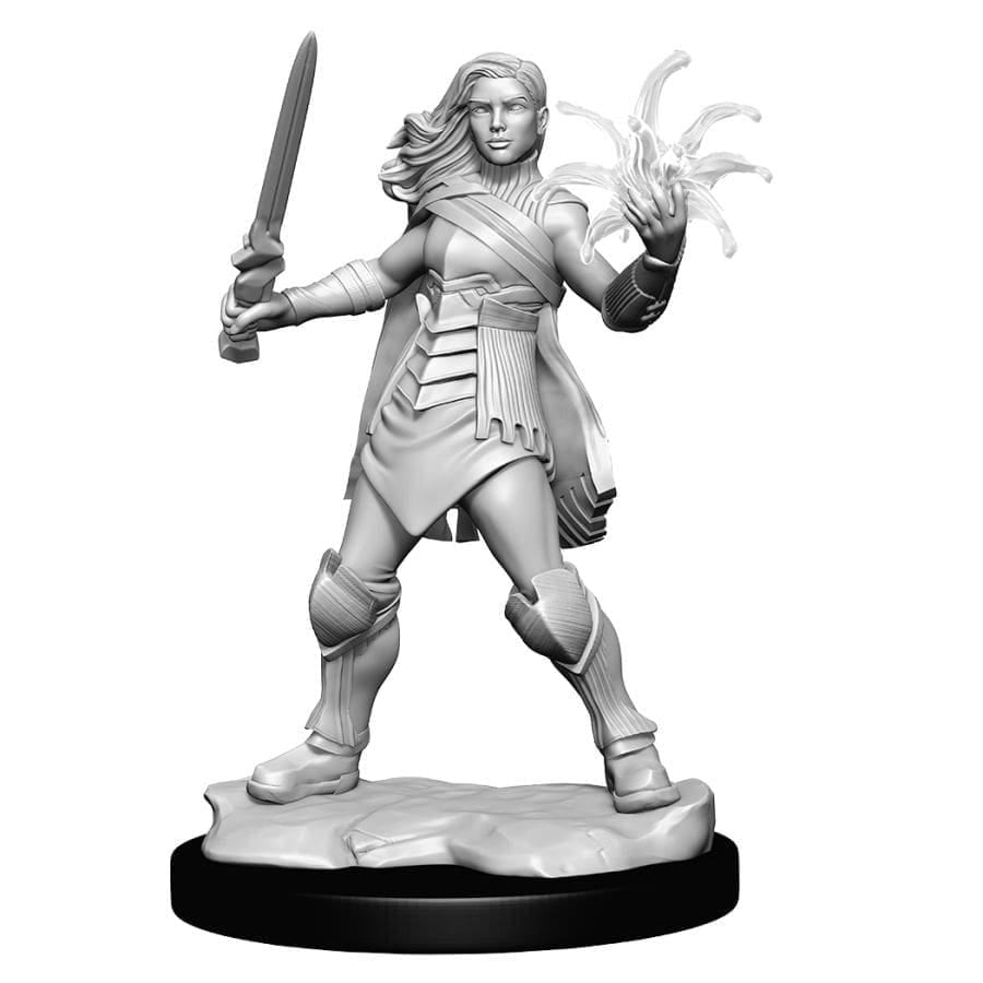 D&D Mini: Wave 15 Rowan & Will Kenrith