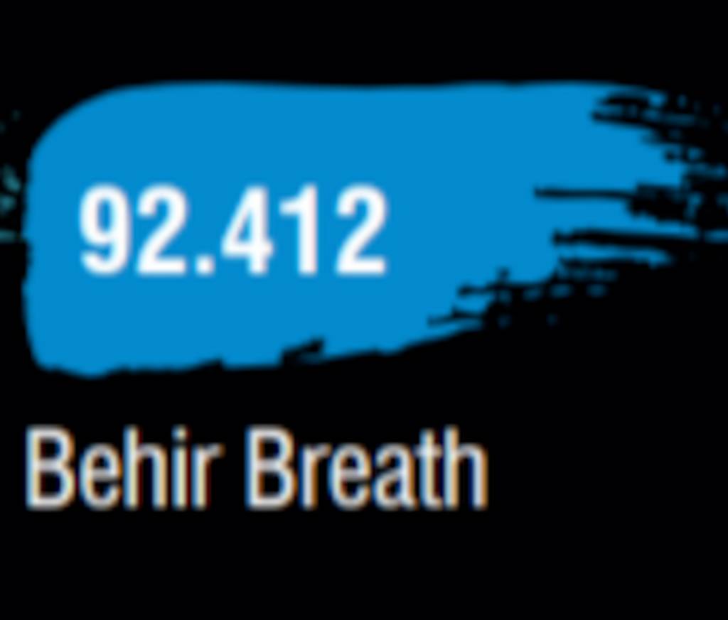 Wizkids Behir Breath