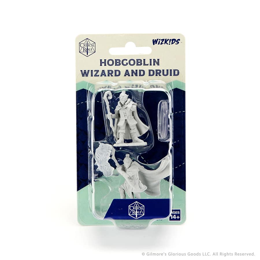 D&D Mini: Critical Role Hobgoblin Wizard and Druid