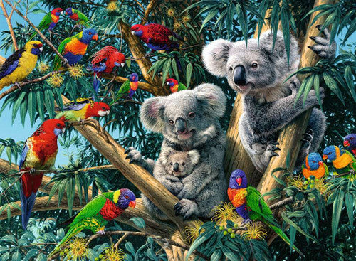 Koalas in a Tree