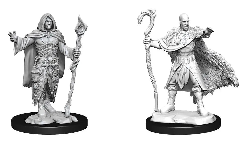 Nolzur's: Unpainted Human Druid Male