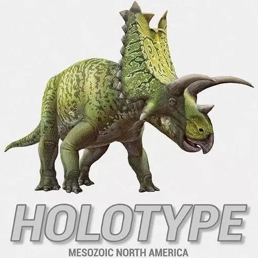 Holotype: Mesozoic North America