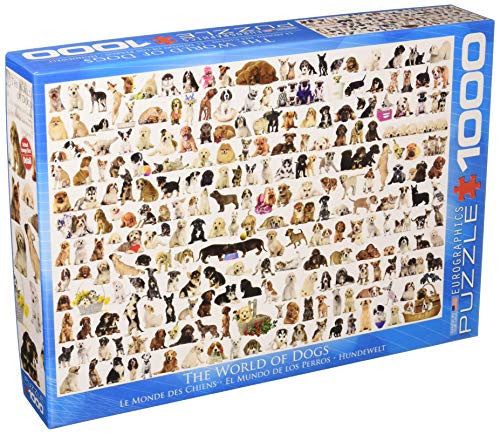 The World of Dogs