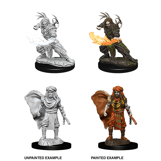 D&D Mini's : Human Male Druid