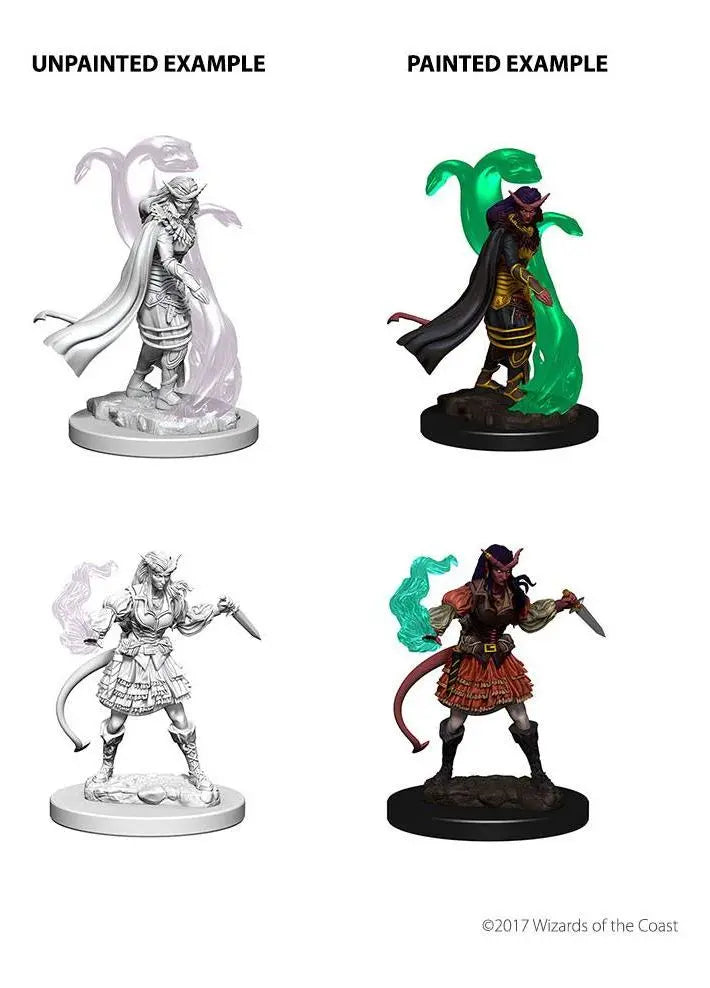 Wizkids Nolzur's Unpainted Tiefling Female Sorcerer