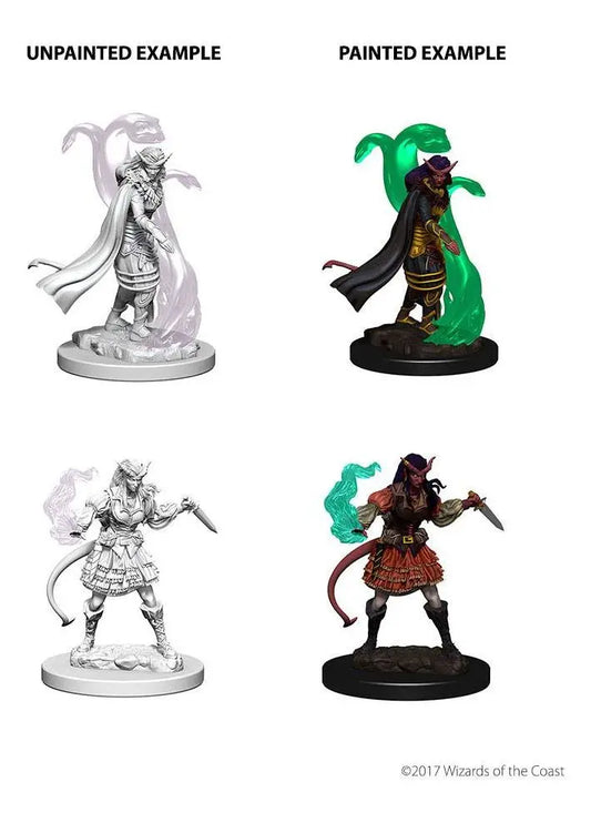 Wizkids Nolzur's Unpainted Tiefling Female Sorcerer