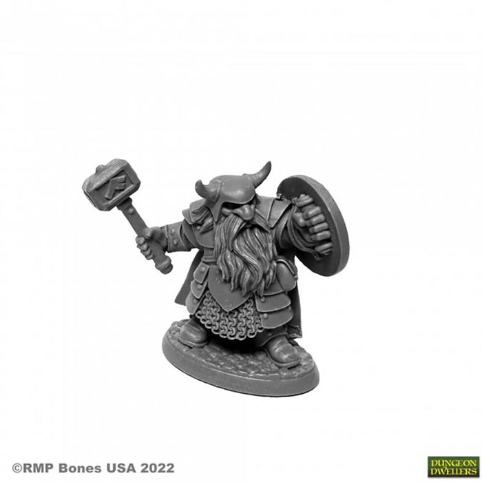Dungeon Dwellers Borin Ironbrow, Dwarf Fighter