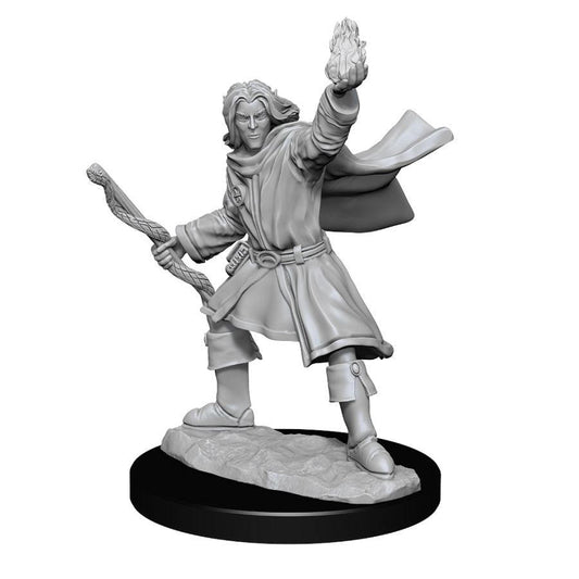 D&D Mini's: W14 Male Elf Sorcerer