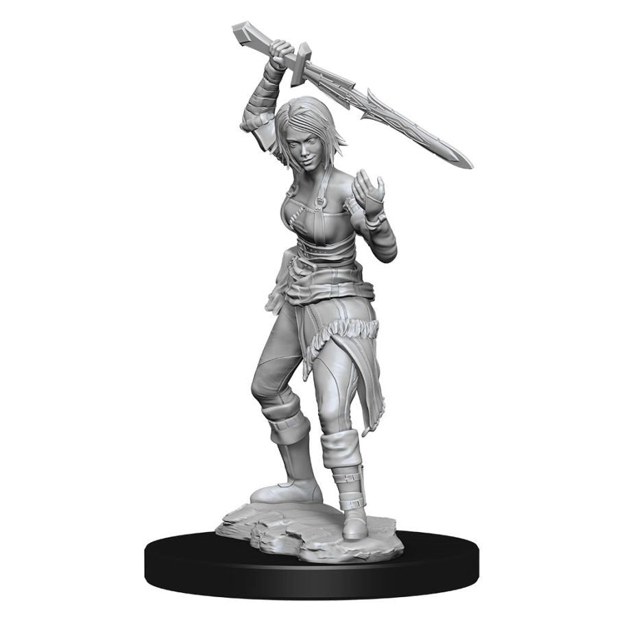 D&D Mini's: W14 Nahiri