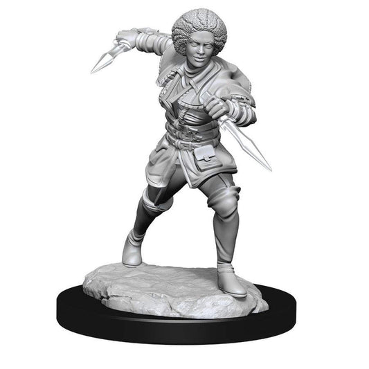 D&D Mini's: W14 Kaya