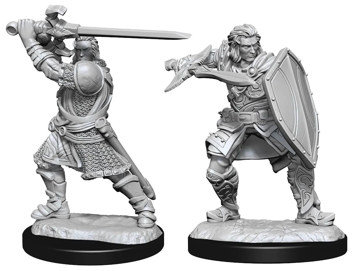 Wizkids D&D Nolzur's Marvelous Unpainted Miniatures: Human Paladin Male