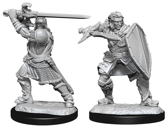 Wizkids D&D Nolzur's Marvelous Unpainted Miniatures: Human Paladin Male