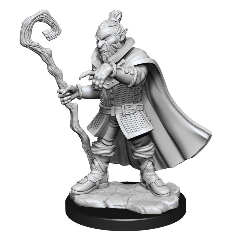 D&D Mini: Critical Role Hobgoblin Wizard and Druid