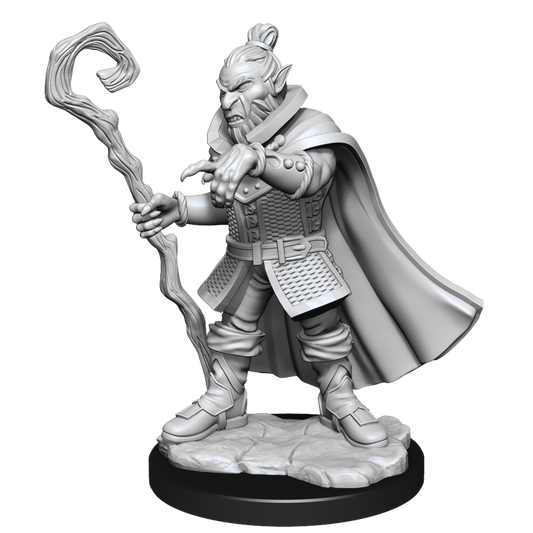 D&D Mini: Critical Role Hobgoblin Wizard and Druid